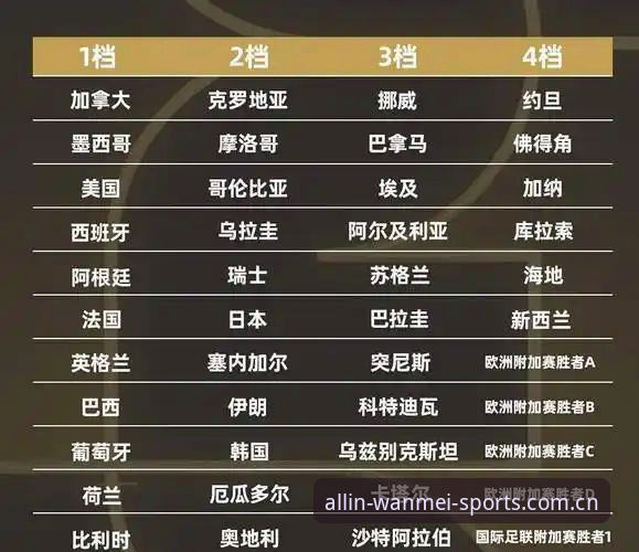 资深球迷分享观察：世界杯门票在手，签证却成最大变数